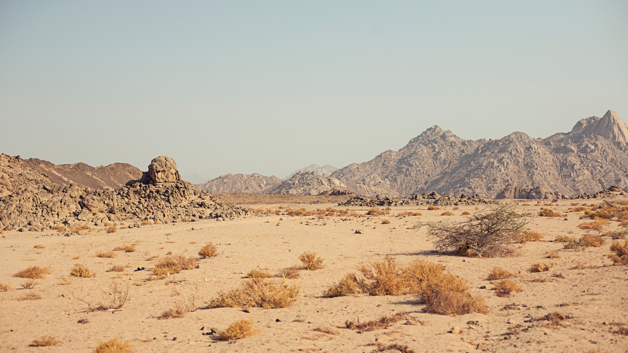 Gran plano de un desierto 